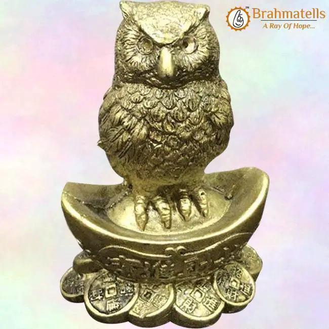 Feng Shui Owl A Symbol Of Wisdom And Protection From Evil by Brahmatells