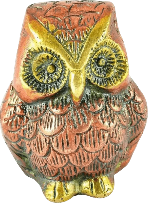 Fengshui-owl-for-good-health-wealth-prosperity-home by Brahmatells