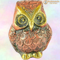 Fengshui-owl-for-good-health-wealth-prosperity-home by Brahmatells