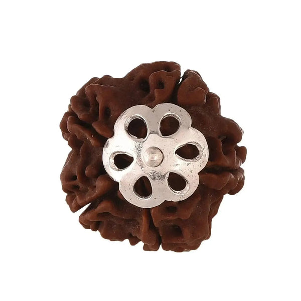 Five Mukhi Rudraksha Silver Pendant - Harness Lord Kaalagni Rudra's Energy | Brahmatells by Brahmatells
