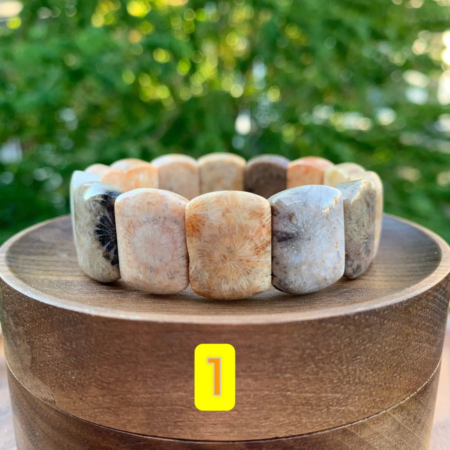 Fossil Coral Gemstone Bracelet - Handcrafted Healing Jewelry | Brahmatells by Brahmatells