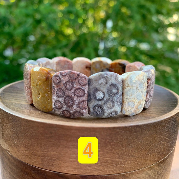 Fossil Coral Gemstone Bracelet - Handcrafted Healing Jewelry | Brahmatells by Brahmatells