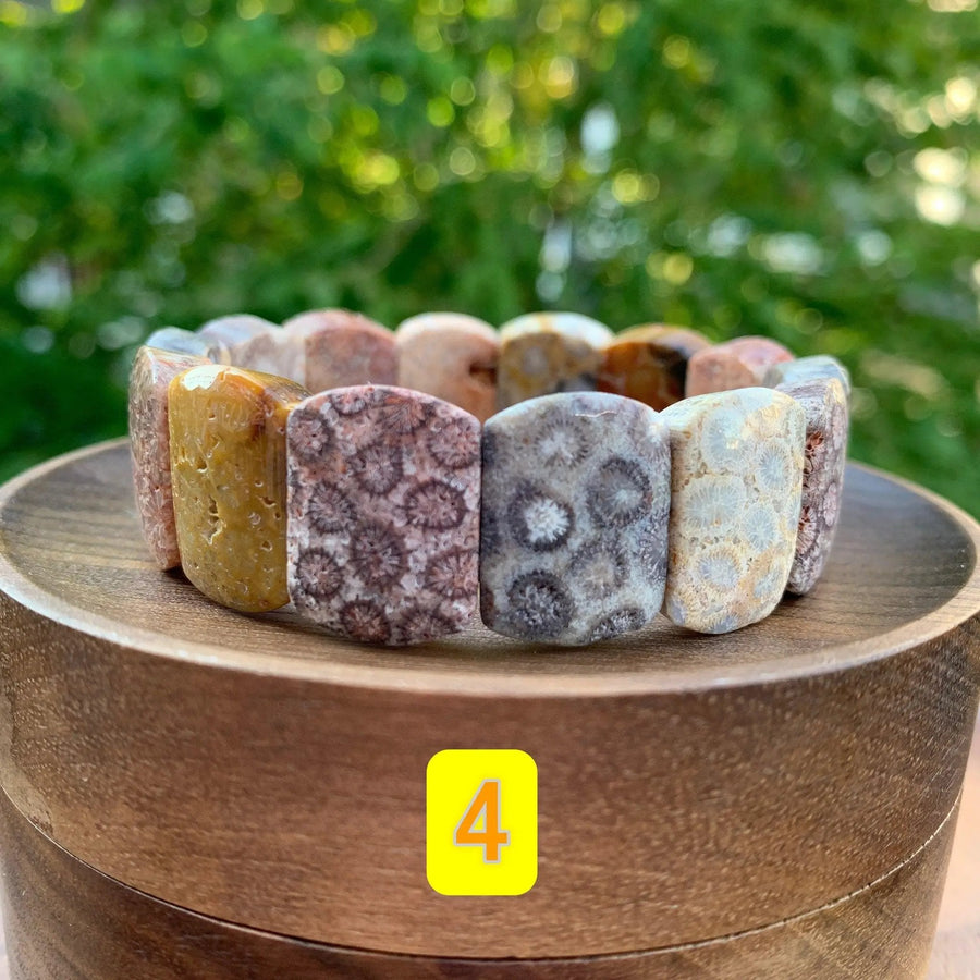 Fossil Coral Gemstone Bracelet - Handcrafted Healing Jewelry | Brahmatells by Brahmatells