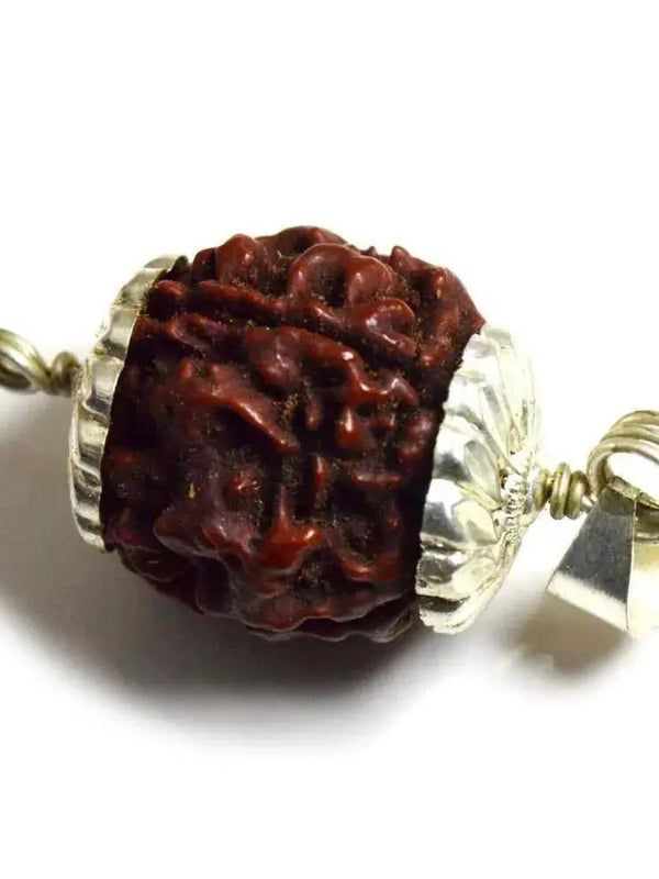 Four Mukhi Rudraksha Bead Silver Pendant - Wisdom of Brahma | Brahmatells by Brahmatells