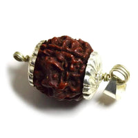 Four Mukhi Rudraksha Bead Silver Pendant - Wisdom of Brahma | Brahmatells by Brahmatells