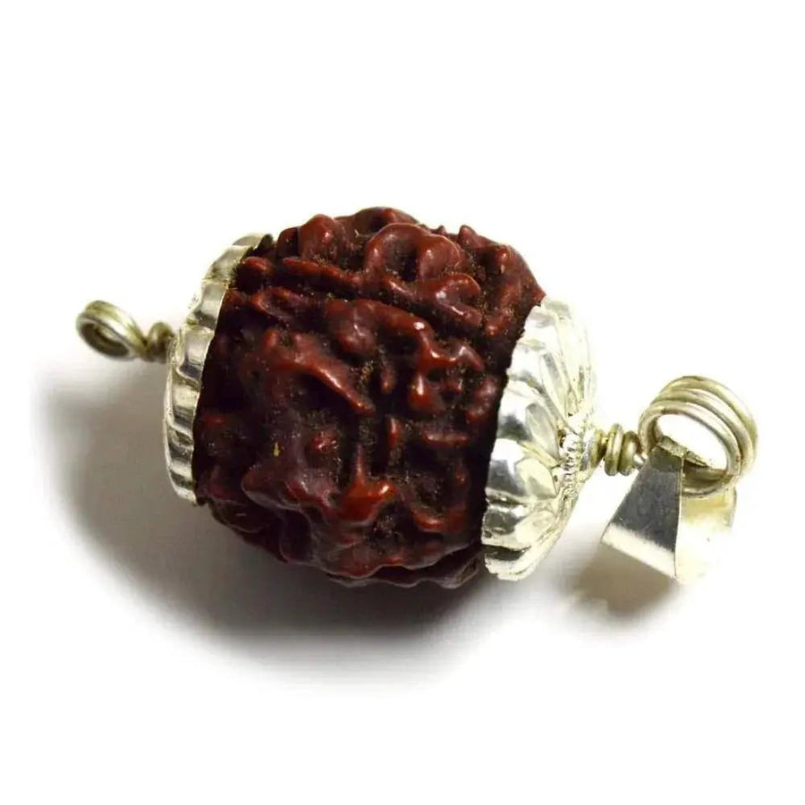 Four Mukhi Rudraksha Bead Silver Pendant - Wisdom of Brahma | Brahmatells by Brahmatells