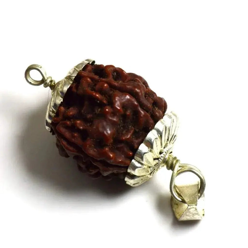 Four Mukhi Rudraksha Bead Silver Pendant - Wisdom of Brahma | Brahmatells by Brahmatells
