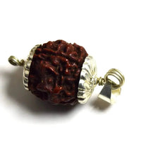 Four Mukhi Rudraksha Bead Silver Pendant - Wisdom of Brahma | Brahmatells by Brahmatells