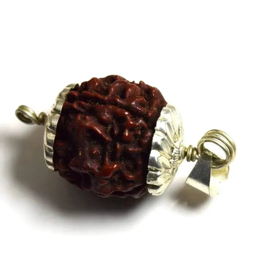 Four Mukhi Rudraksha Bead Silver Pendant - Wisdom of Brahma | Brahmatells by Brahmatells