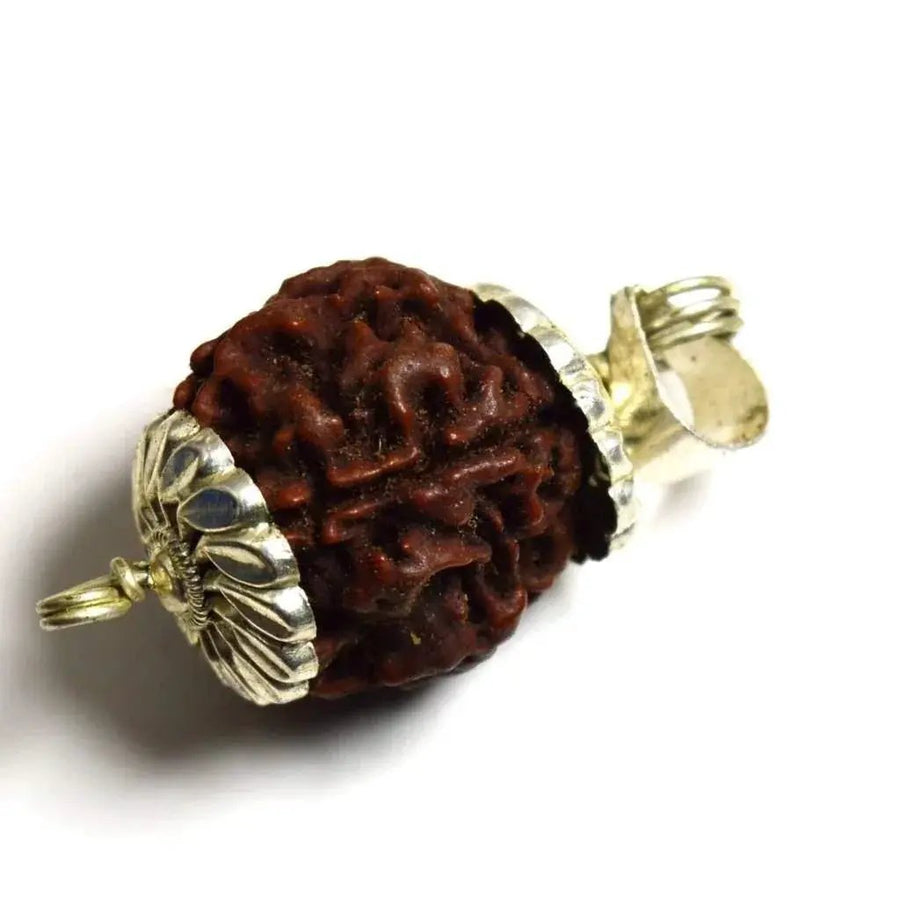 Four Mukhi Rudraksha Bead Silver Pendant - Wisdom of Brahma | Brahmatells by Brahmatells