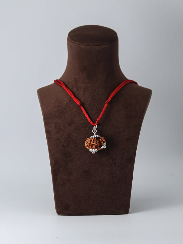 Garbh Gauri Rudraksha for Fertility | Enhance Wellness with Brahmatells - BrahmatellsStore