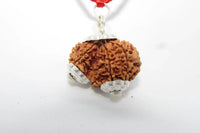 Garbh Gauri Rudraksha for Fertility | Enhance Wellness with Brahmatells by Brahmatells
