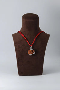 Garbh Gauri Rudraksha for Fertility | Enhance Wellness with Brahmatells by Brahmatells