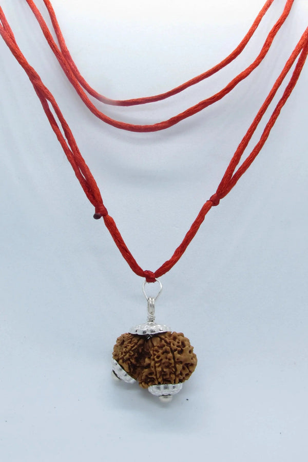 Garbh Gauri Rudraksha for Fertility | Enhance Wellness with Brahmatells by Brahmatells