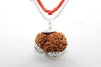 Garbh Gauri Rudraksha for Fertility | Enhance Wellness with Brahmatells by Brahmatells