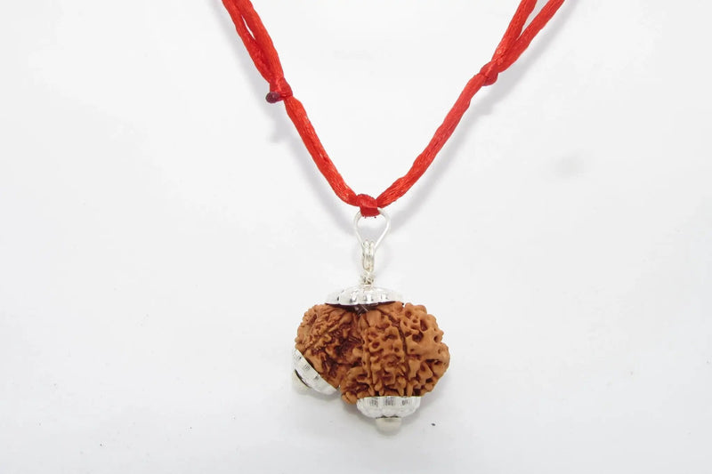 Garbh Gauri Rudraksha for Fertility | Enhance Wellness with Brahmatells by Brahmatells