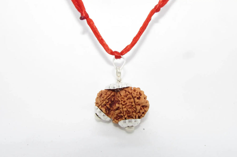 Garbh Gauri Rudraksha for Fertility | Enhance Wellness with Brahmatells by Brahmatells