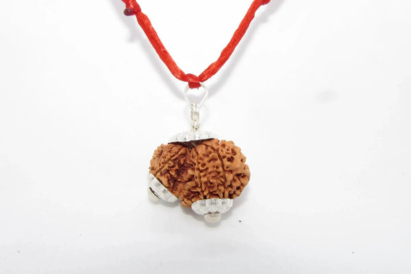 Garbh Gauri Rudraksha for Fertility | Enhance Wellness with Brahmatells by Brahmatells