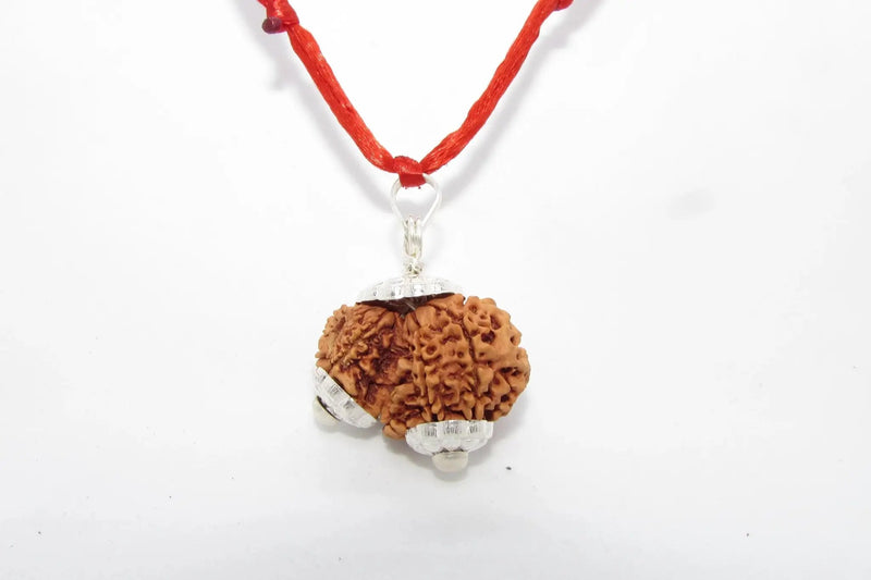 Garbh Gauri Rudraksha for Fertility | Enhance Wellness with Brahmatells by Brahmatells