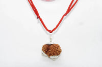 Garbh Gauri Rudraksha for Fertility | Enhance Wellness with Brahmatells by Brahmatells