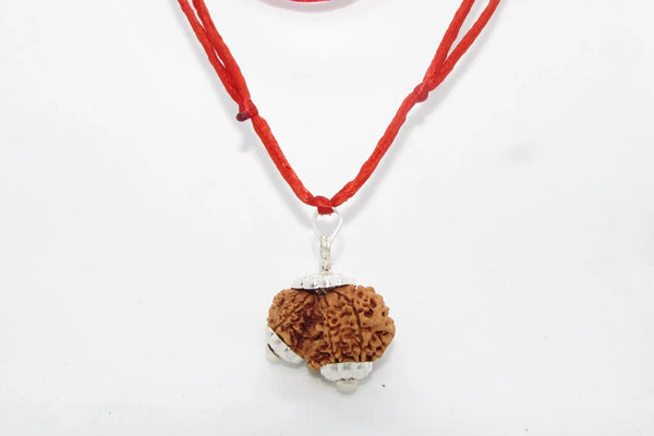 Garbh Gauri Rudraksha for Fertility | Enhance Wellness with Brahmatells by Brahmatells