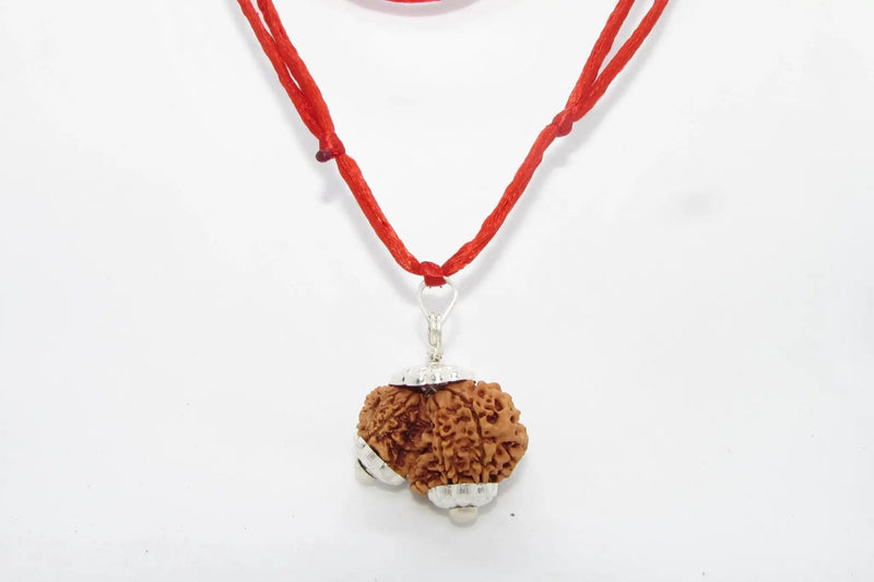Garbh Gauri Rudraksha for Fertility | Enhance Wellness with Brahmatells by Brahmatells