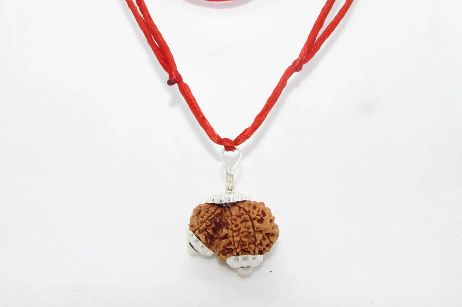 Garbh Gauri Rudraksha for Fertility | Enhance Wellness with Brahmatells by Brahmatells