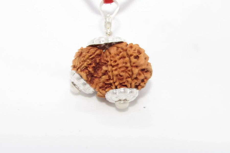 Garbh Gauri Rudraksha for Fertility | Enhance Wellness with Brahmatells by Brahmatells