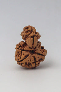 Garbh Gauri Rudraksha | Sacred Bead from Nepal by Brahmatells