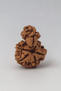 Garbh Gauri Rudraksha | Sacred Bead from Nepal by Brahmatells