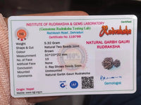 Garbh Gauri Rudraksha | Sacred Bead from Nepal by Brahmatells