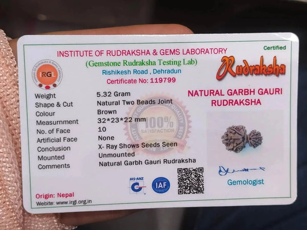 Garbh Gauri Rudraksha | Sacred Bead from Nepal by Brahmatells