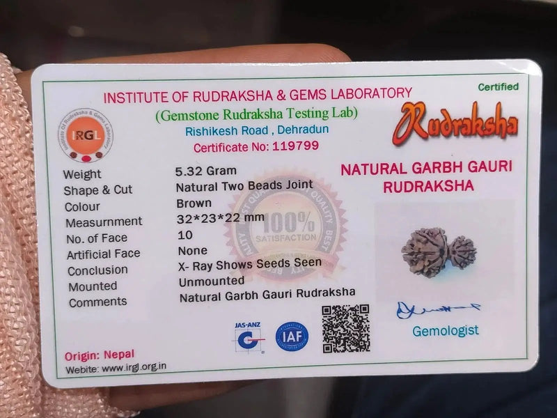 Garbh Gauri Rudraksha | Sacred Bead from Nepal by Brahmatells