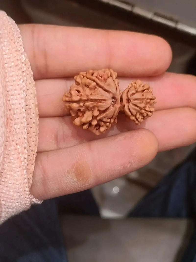 Garbh Gauri Rudraksha | Sacred Bead from Nepal by Brahmatells