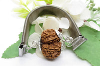 Gauri Shankar Rudraksha Bracelet with Silver Pendant - Harmony & Spiritual Connection | Brahmatells by Brahmatells