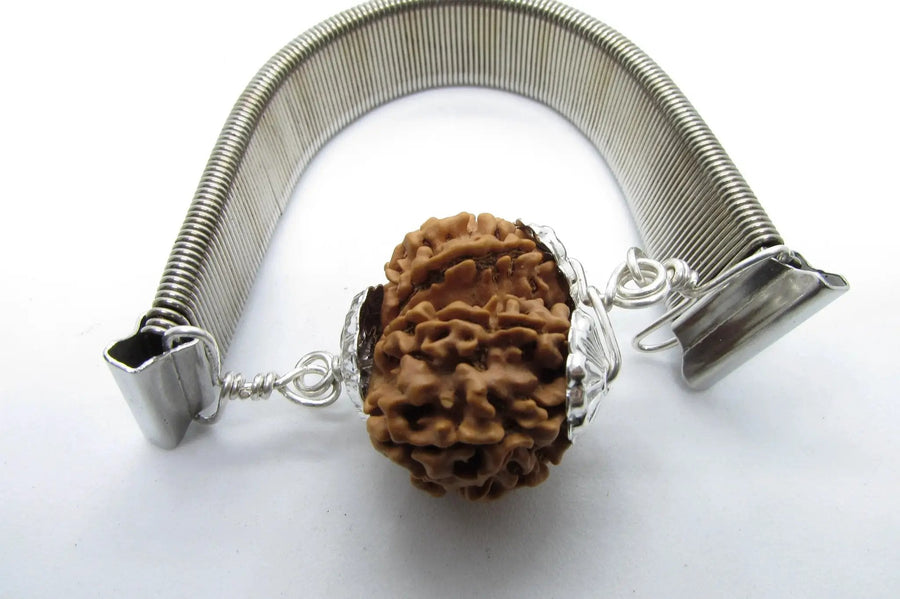Gauri Shankar Rudraksha Bracelet with Silver Pendant - Harmony & Spiritual Connection | Brahmatells by Brahmatells