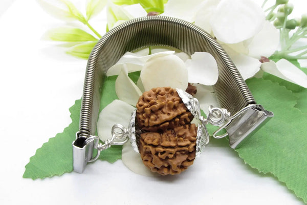 Gauri Shankar Rudraksha Bracelet with Silver Pendant - Harmony & Spiritual Connection | Brahmatells by Brahmatells
