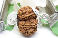 Gauri Shankar Rudraksha Bracelet with Silver Pendant - Harmony & Spiritual Connection | Brahmatells by Brahmatells