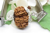 Gauri Shankar Rudraksha Bracelet with Silver Pendant - Harmony & Spiritual Connection | Brahmatells by Brahmatells