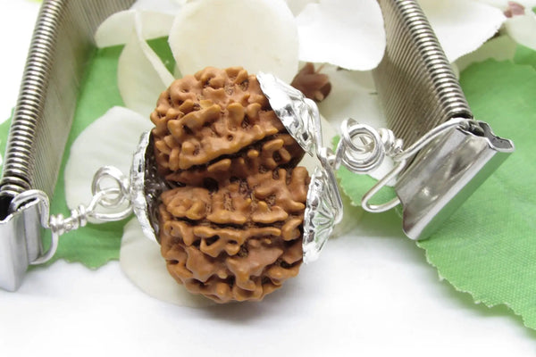 Gauri Shankar Rudraksha Bracelet with Silver Pendant - Harmony & Spiritual Connection | Brahmatells by Brahmatells