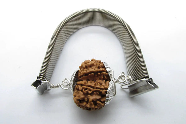 Gauri Shankar Rudraksha Bracelet with Silver Pendant - Harmony & Spiritual Connection | Brahmatells by Brahmatells
