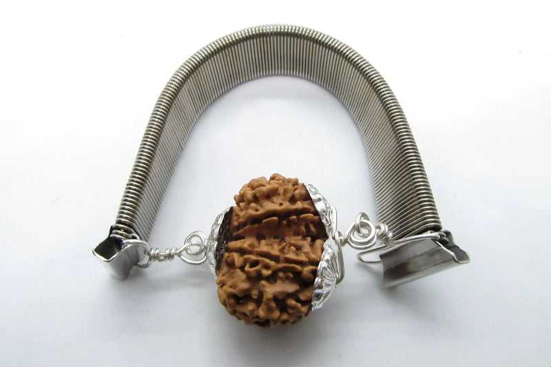 Gauri Shankar Rudraksha Bracelet with Silver Pendant - Harmony & Spiritual Connection | Brahmatells by Brahmatells