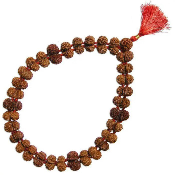 Gauri Shanker Rudraksha Mala for Spiritual Harmony | Brahmatells by Brahmatells