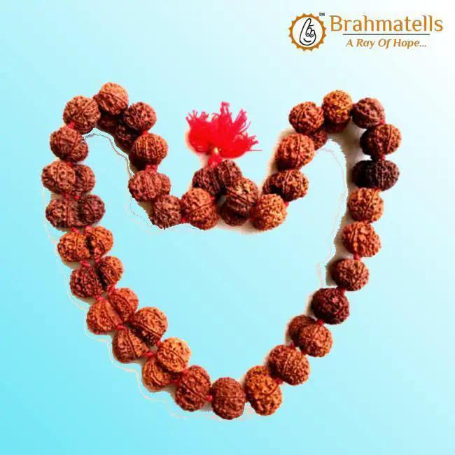Gauri Shanker Rudraksha Mala for Spiritual Harmony | Brahmatells by Brahmatells