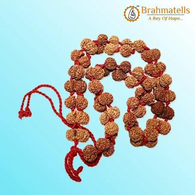 Gauri Shanker Rudraksha Mala for Spiritual Harmony | Brahmatells by Brahmatells