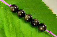 Golden Obsidian Band by Brahmatells