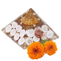 Gomti Chakra Pyramid for Spiritual Harmony | Brahmatells by Brahmatells