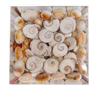 Gomti Chakra Pyramid for Spiritual Harmony | Brahmatells by Brahmatells