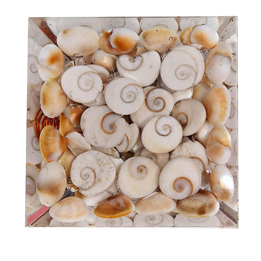 Gomti Chakra Pyramid for Spiritual Harmony | Brahmatells by Brahmatells
