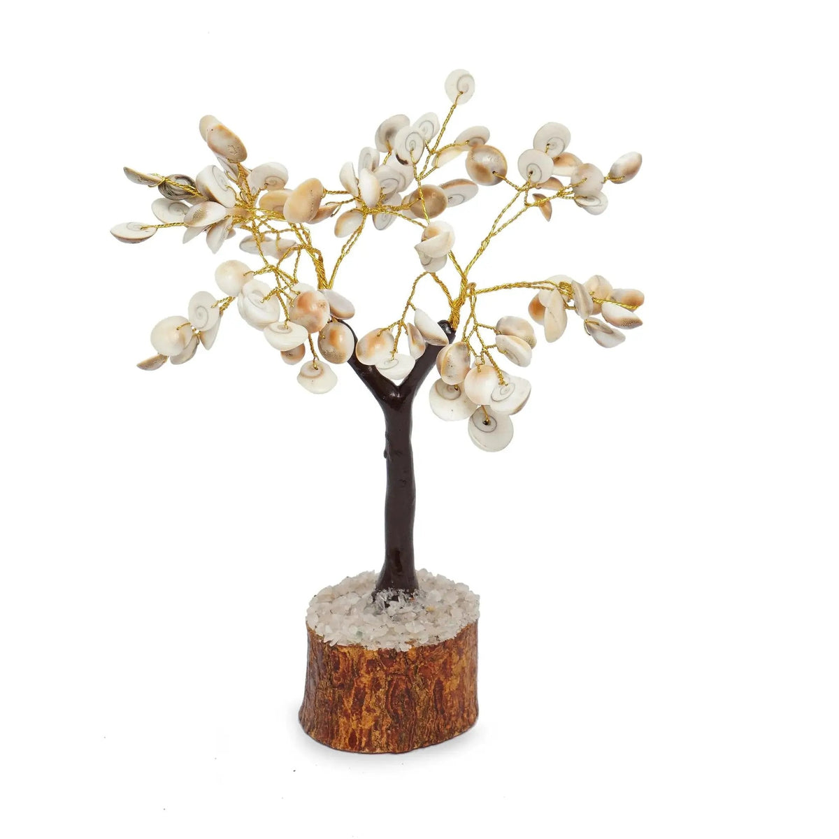 Gomti Chakra Wish Tree: A Symbol of Prosperity and Protection | Brahmatells by Brahmatells